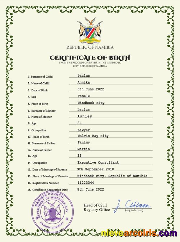 Editable Namibia Vital Record Birth Certificate PSD Template
