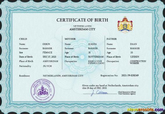 Professional Netherlands Vital Record Birth Certificate PSD Template