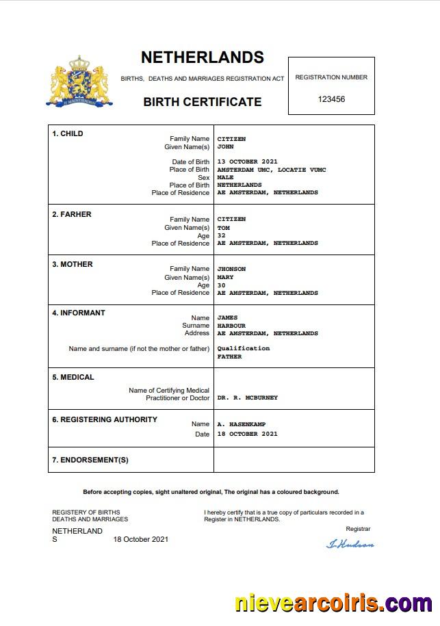 Realistic Netherlands Vital Record Birth Certificate Word And PDF Template