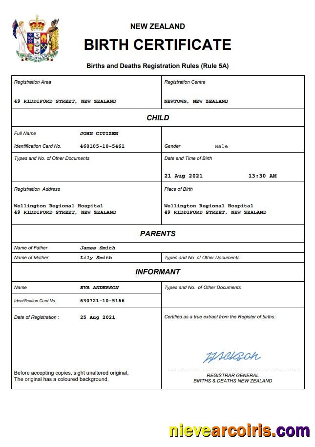 Editable New Zealand Birth Certificate Word And PDF Template