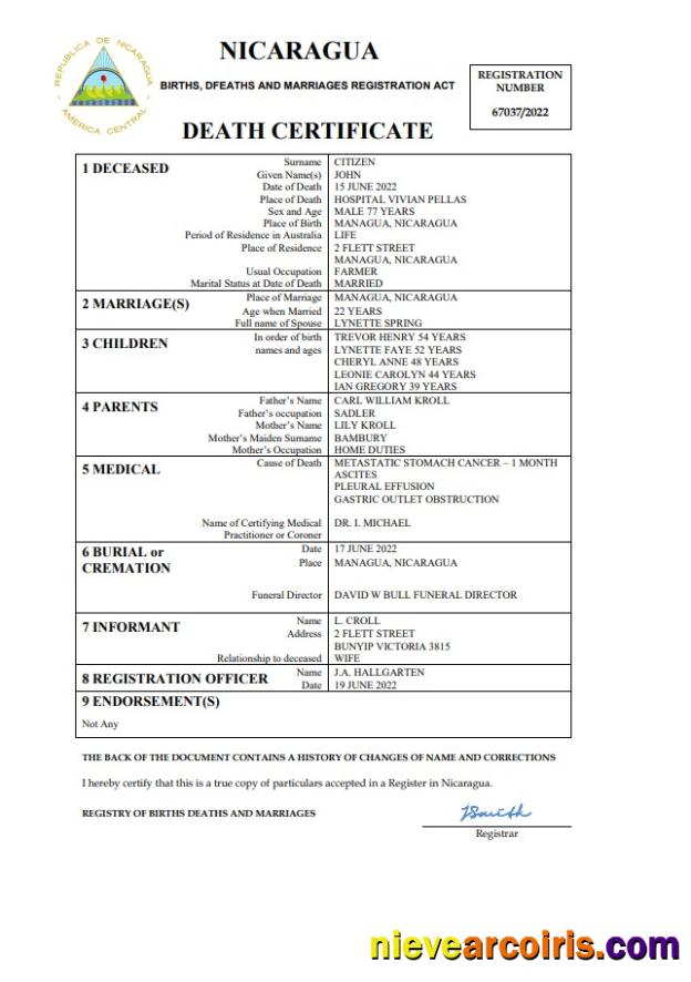 Editable Nicaragua Vital Record Death Certificate Word And PDF Template