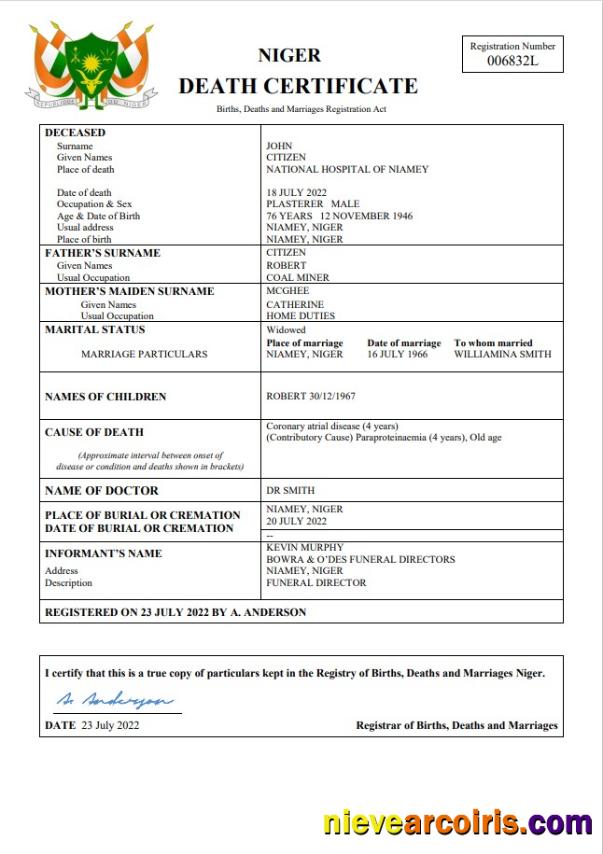 Professional Niger Death Certificate Word And PDF Template