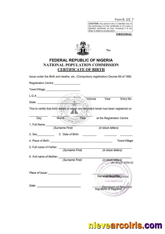 Realistic Nigeria Birth Certificate Template In Word And PDF Format