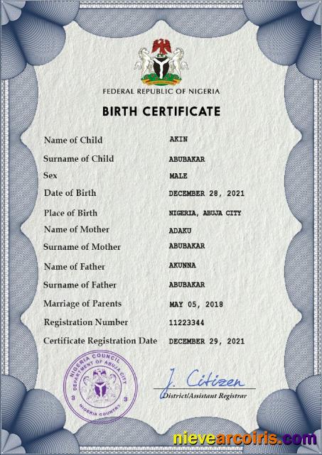 Realistic Nigeria Vital Record Birth Certificate PSD Template