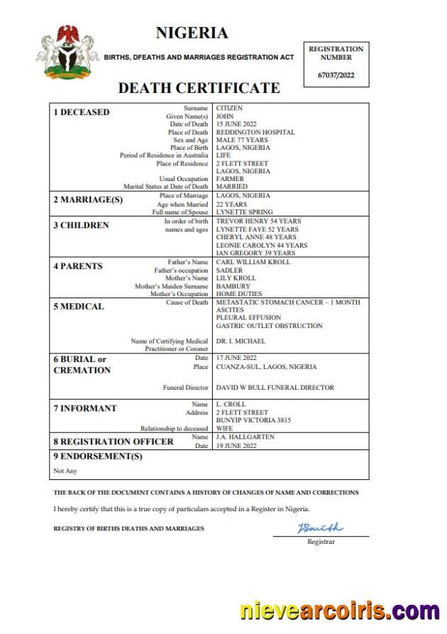 Premium Nigeria Vital Record Death Certificate Word And PDF Template