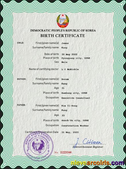 Professional North Korea Birth Certificate PSD Template