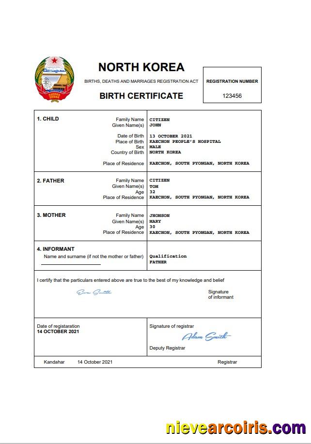 Professional North Korea Birth Certificate Word And PDF Template