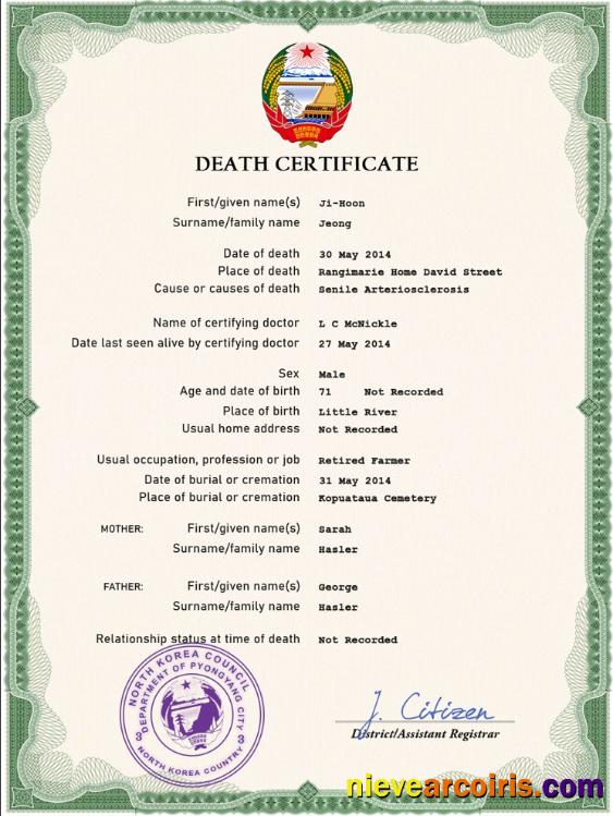 Premium North Korea Death Certificate PSD Template