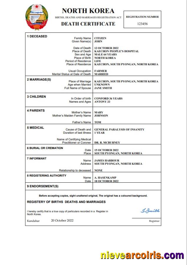 Realistic North Korea Vital Record Death Certificate Word And PDF Template