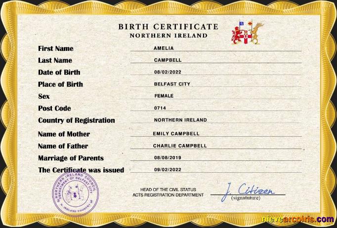 Realistic Northern Ireland Vital Record Birth Certificate PSD Template