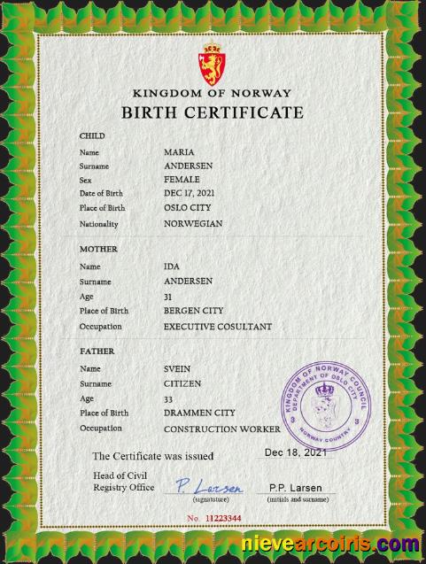 Professional Norway Birth Certificate PSD Template