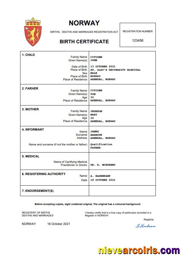 Premium Norway Birth Certificate Word And PDF Template