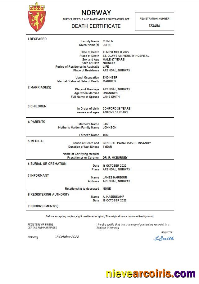 Realistic Norway Vital Record Death Certificate Word And PDF Template