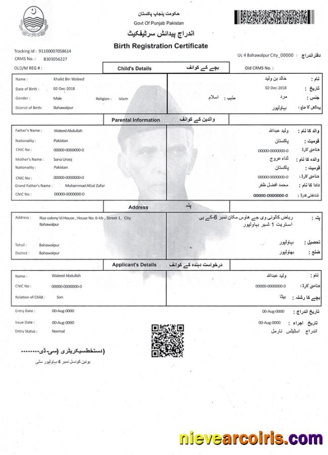 Pakistan Birth Registration Certificate Preview