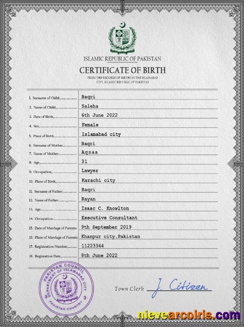 Premium Pakistan Vital Record Birth Certificate PSD Template