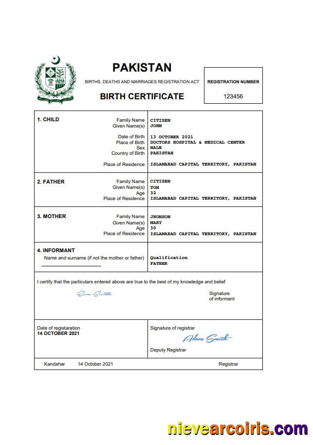 Editable Pakistan Vital Record Birth Certificate Word And PDF Template, Completely Editable