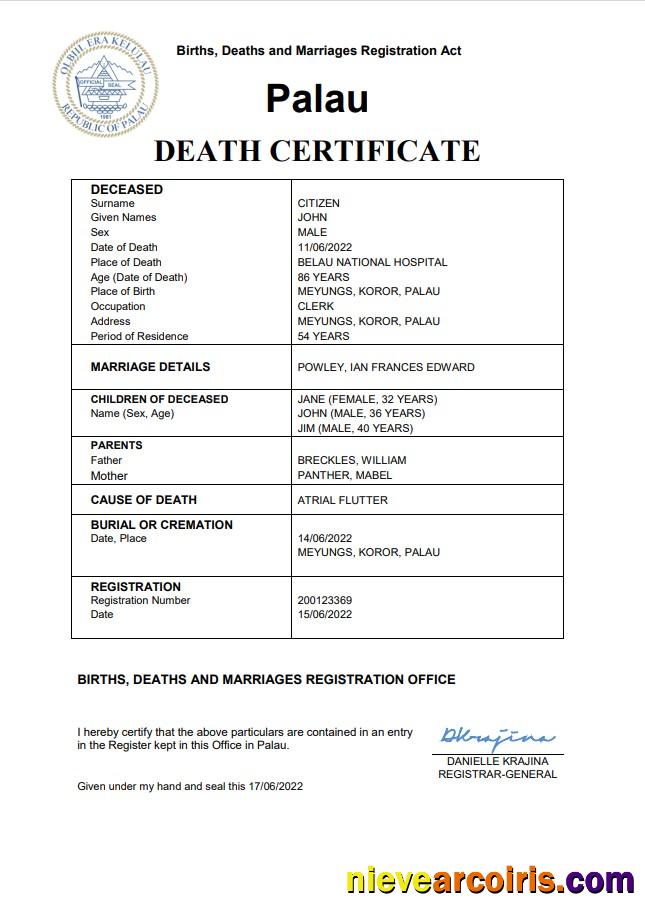 Premium Palau Vital Record Death Certificate Word And PDF Template