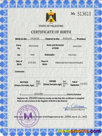 Premium Palestine Vital Record Birth Certificate PSD Template