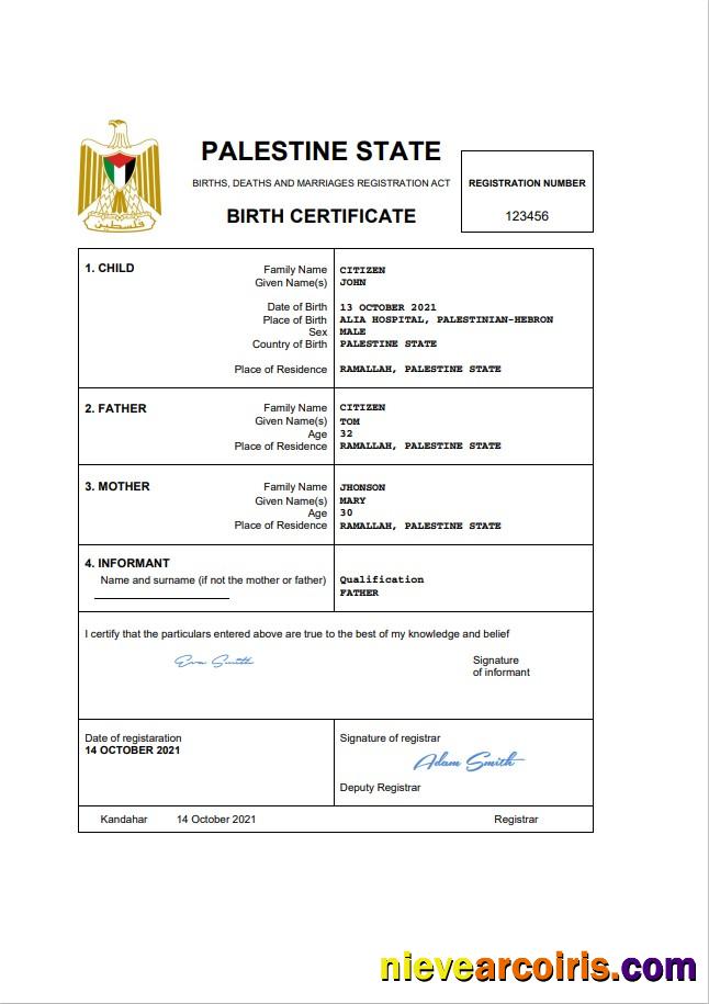 Premium Palestine Vital Record Birth Certificate Word And PDF Template