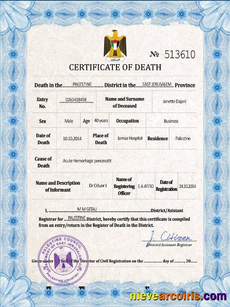 Professional Palestine Vital Record Death Certificate PSD Template