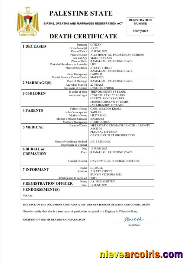 Premium Palestine Vital Record Death Certificate Word And PDF Template