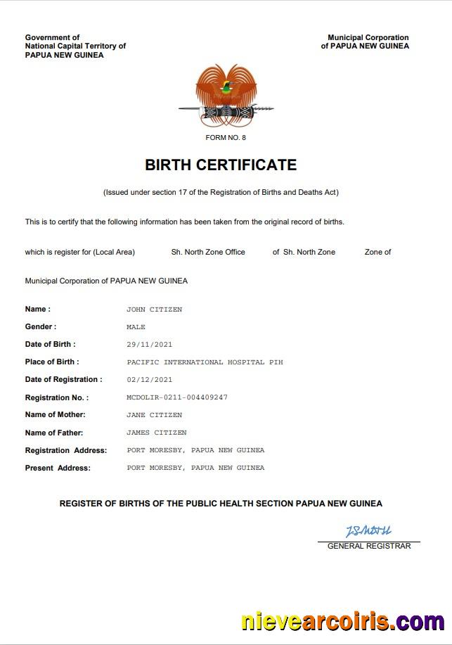 Realistic Papua New Guinea Vital Record Birth Certificate Word And PDF Template