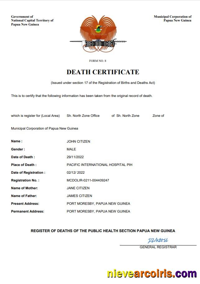 Premium Papua New Guinea Vital Record Death Certificate Word And PDF Template
