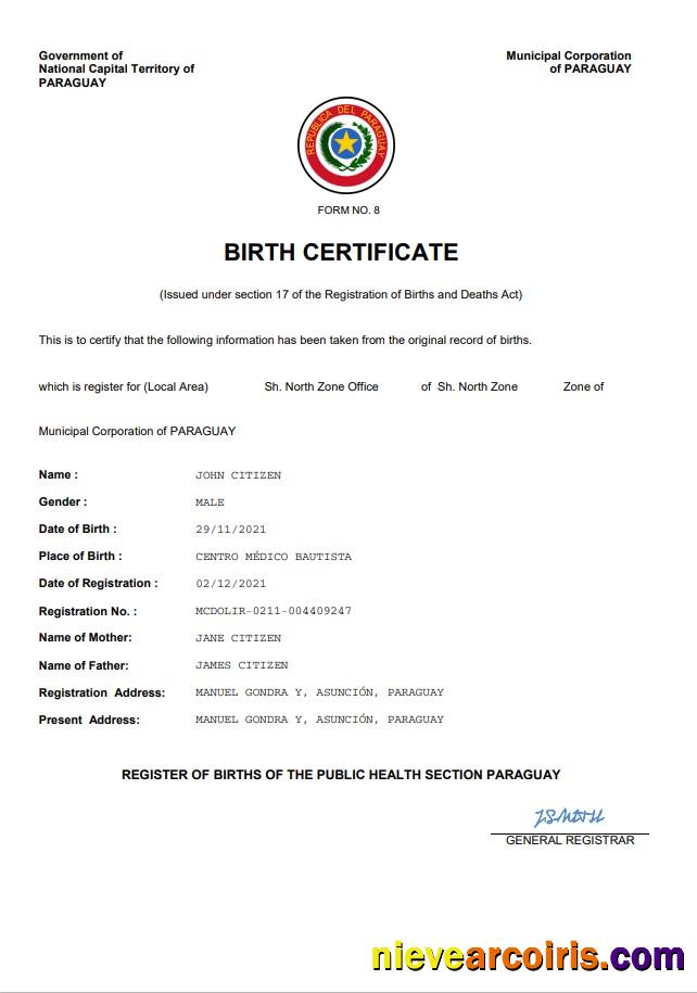 Realistic Paraguay Birth Certificate Word And PDF Template
