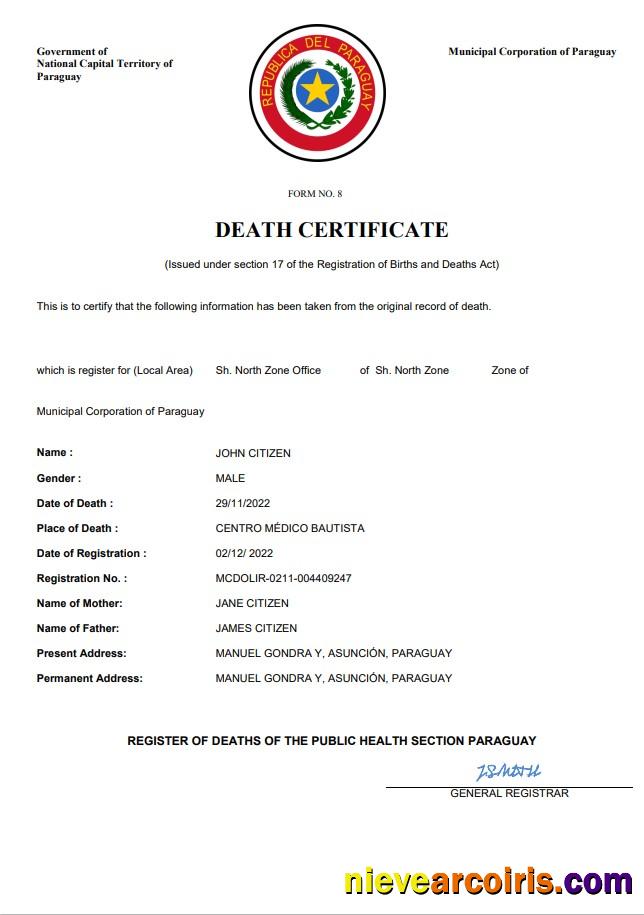 Premium Paraguay Death Certificate Word And PDF Template