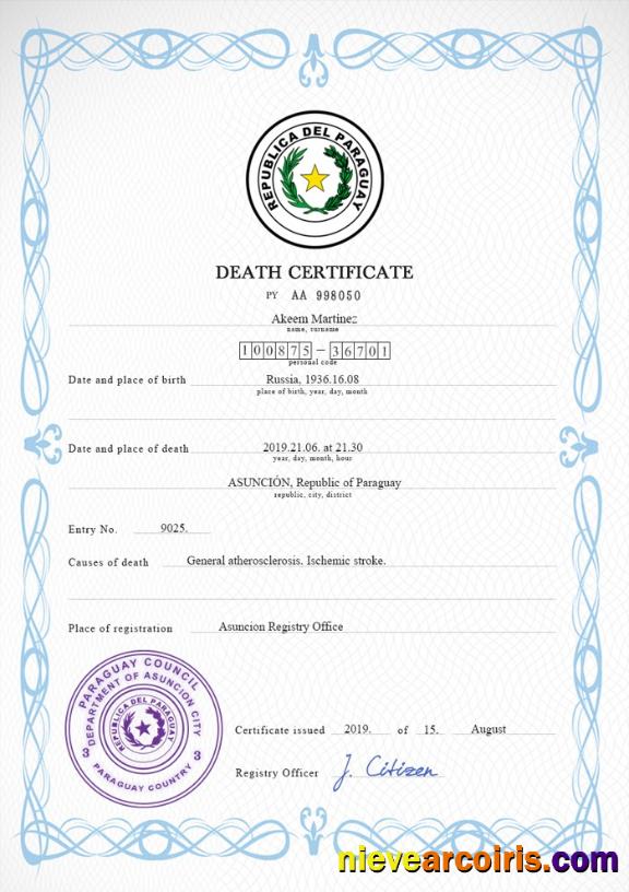 Professional Paraguay Vital Record Death Certificate PSD Template