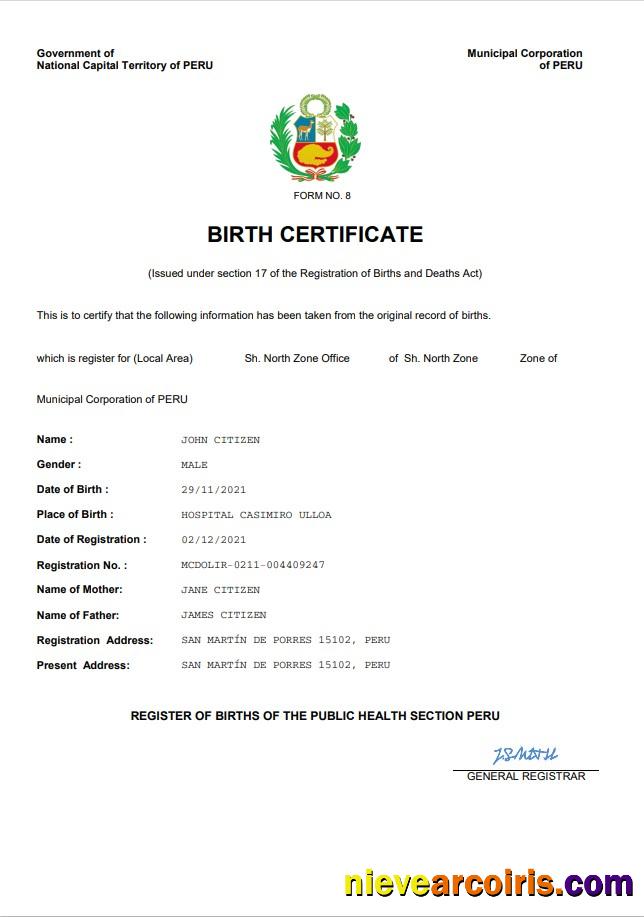 Professional Peru Birth Certificate Word And PDF Template