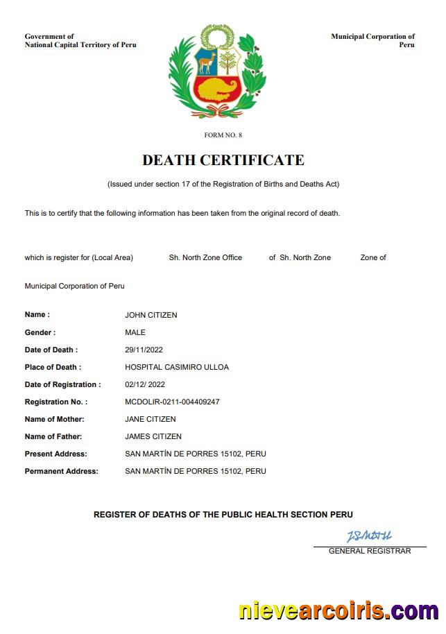 Professional Peru Vital Record Death Certificate Word And PDF Template