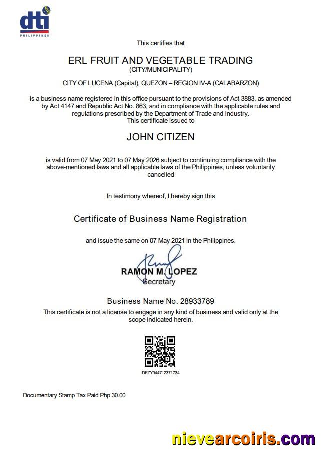 Philippines Department Of Trade And Industry (DTI) Private Interprenour Template