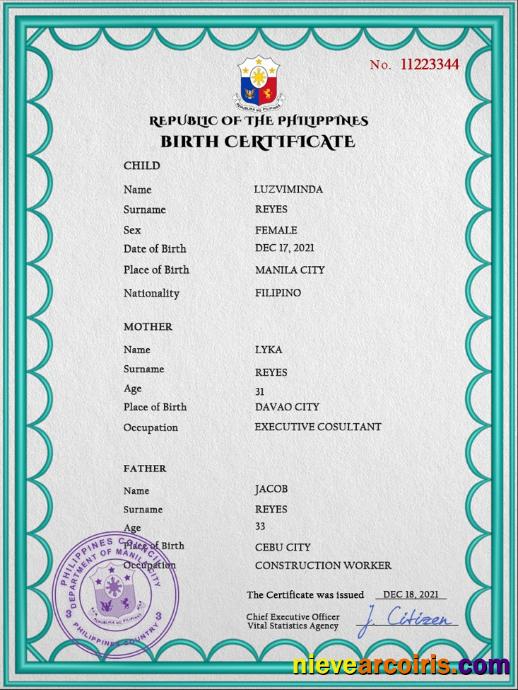 Realistic Philippines Birth Certificate PSD Template