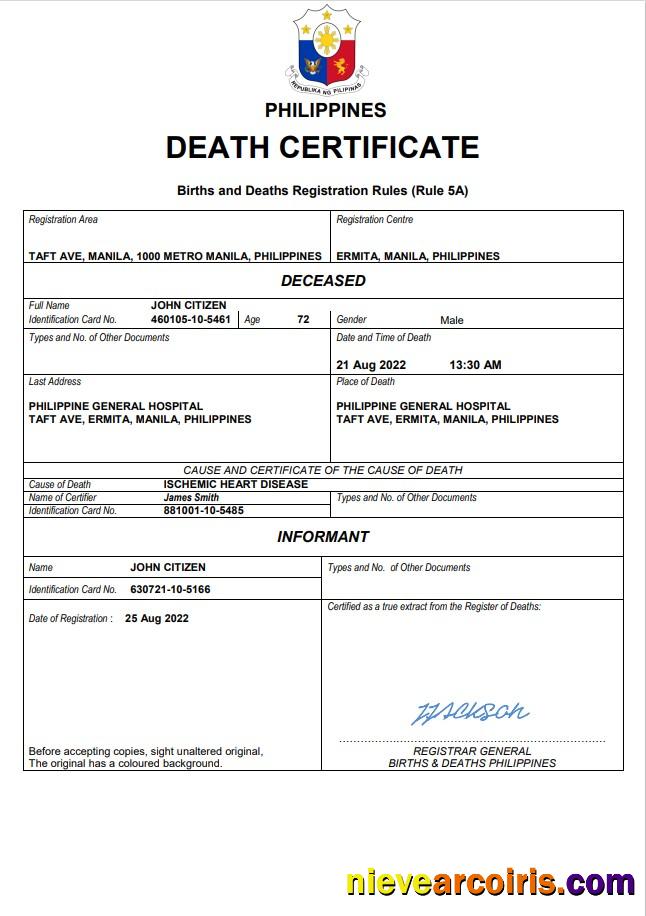 Premium Philippines Vital Record Death Certificate Word And PDF Template
