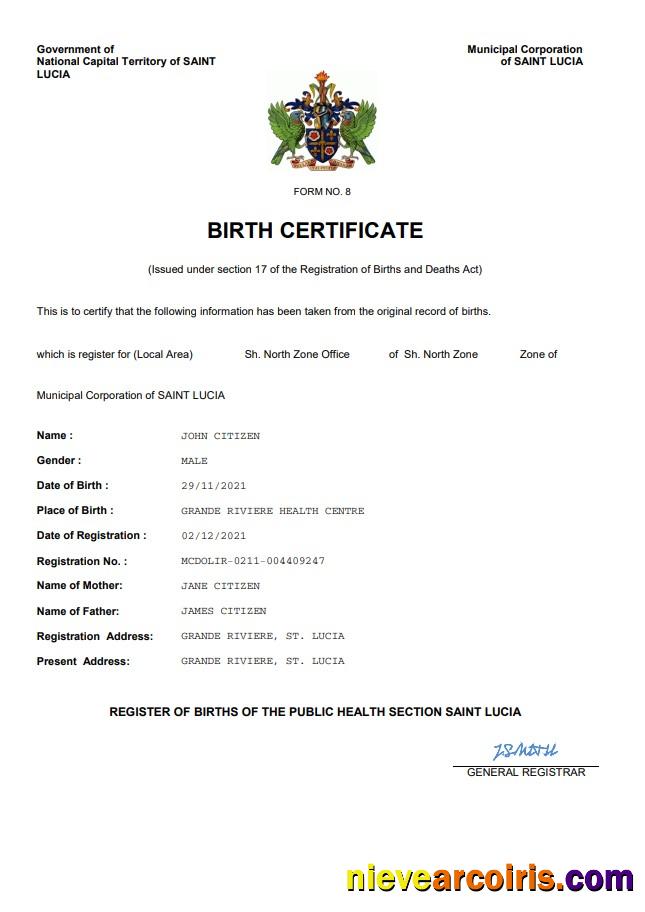 Professional Saint Lucia Birth Certificate Word And PDF Template