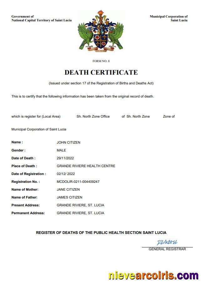 Professional Saint Lucia Death Certificate Word And PDF Template