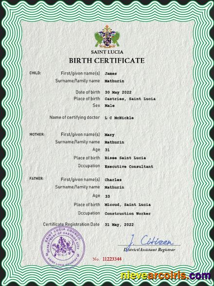 Editable Saint Lucia Vital Record Birth Certificate PSD Template