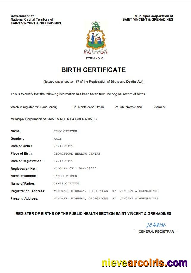 Professional Saint Vincent & Grenadines Vital Record Birth Certificate Word And PDF Template