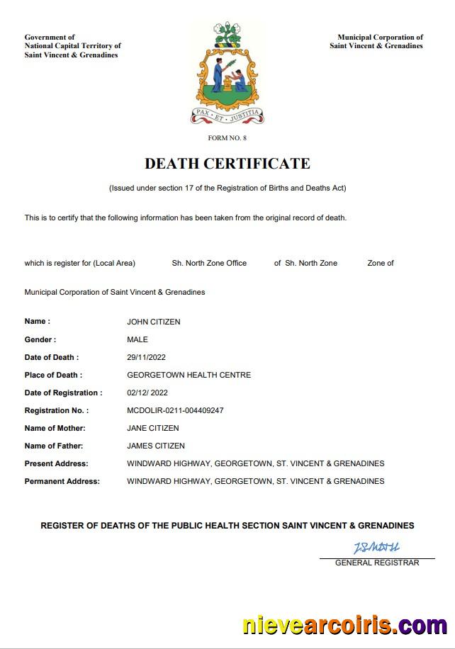 Professional Saint Vincent And The Grenadines Vital Record Death Certificate Word And PDF Template