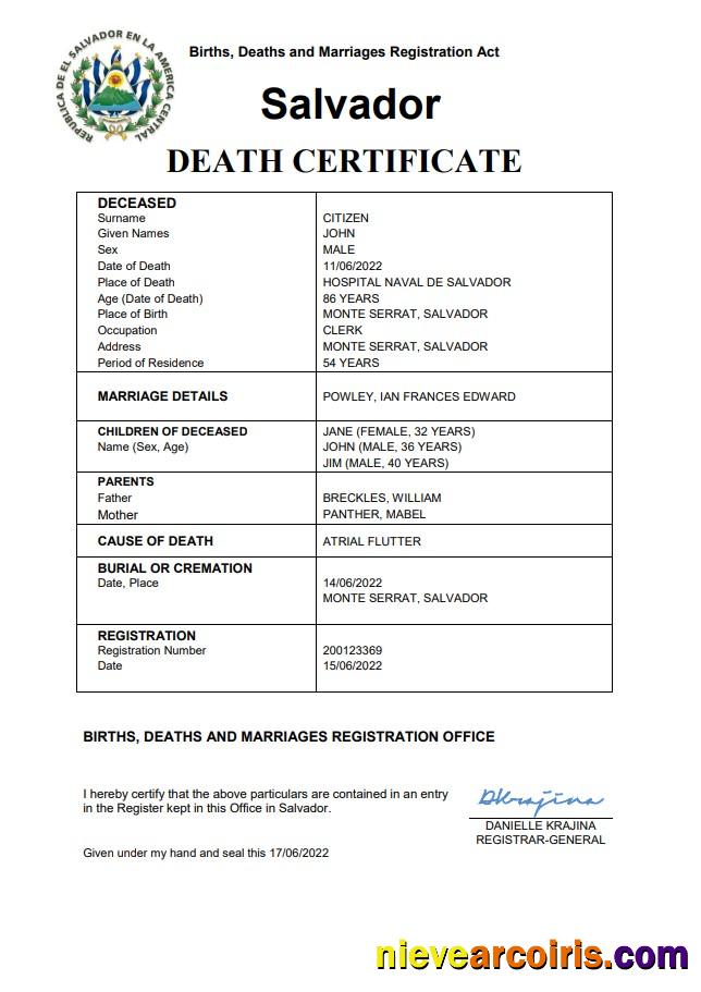 Premium Salvador Vital Record Death Certificate Word And PDF Template
