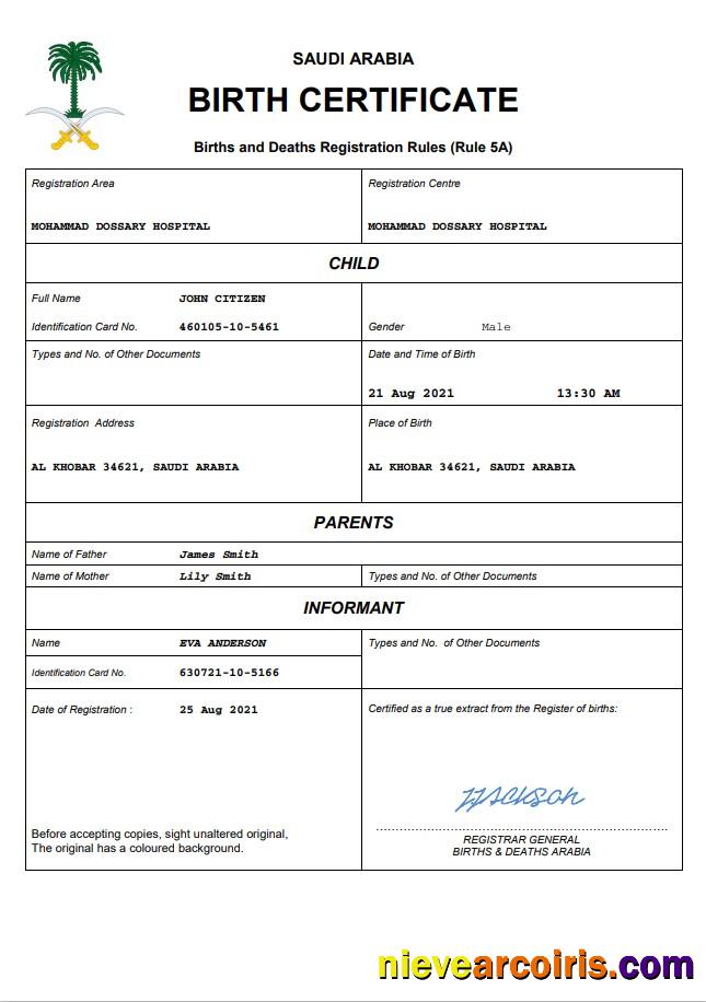 Premium Saudi Arabia Birth Certificate Word And PDF Template