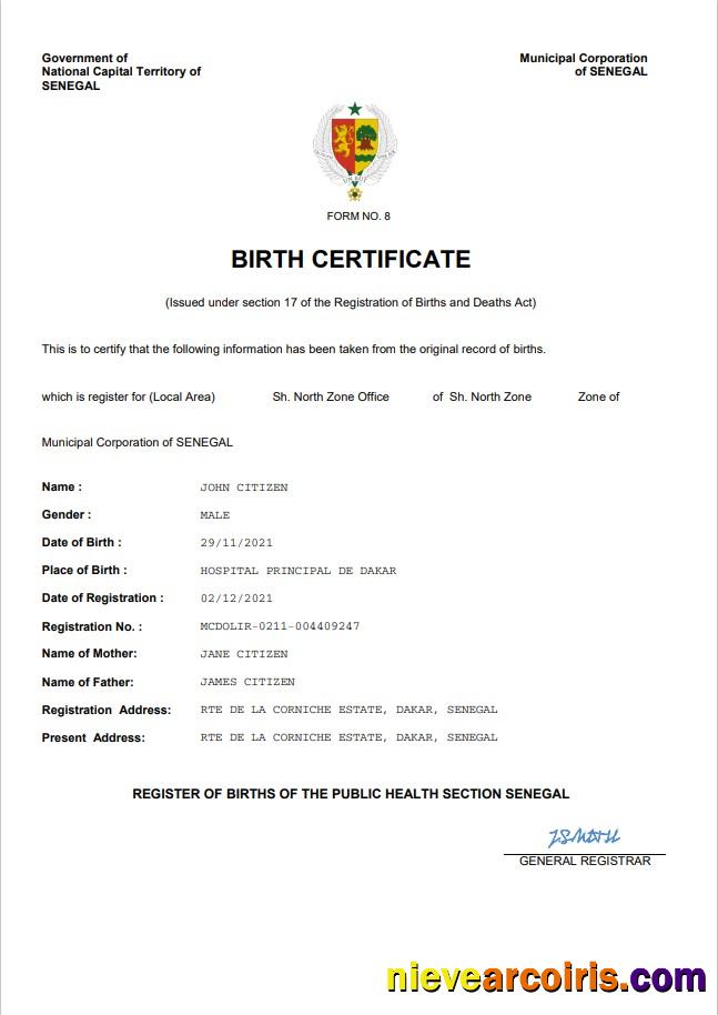 Professional Senegal Vital Record Birth Certificate Word And PDF Template