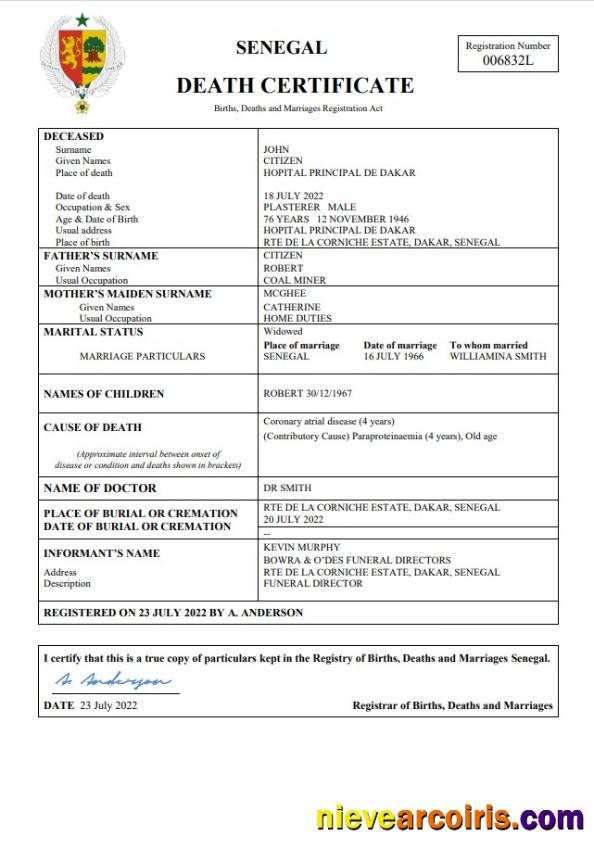 Realistic Senegal Vital Record Death Certificate Word And PDF Template