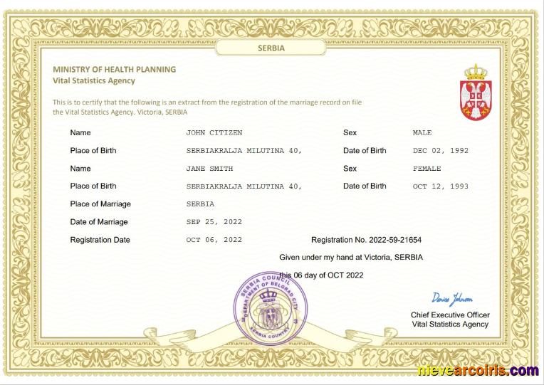 Realistic Serbia Marriage Certificate Word And PDF Template