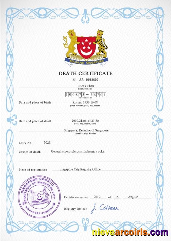 Realistic Singapore Death Certificate PSD Template