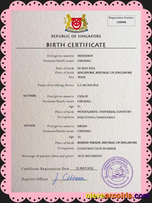 Editable Singapore Vital Record Birth Certificate PSD Template