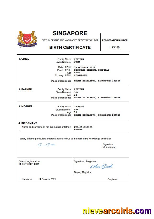 Editable Singapore Vital Record Birth Certificate Word And PDF Template