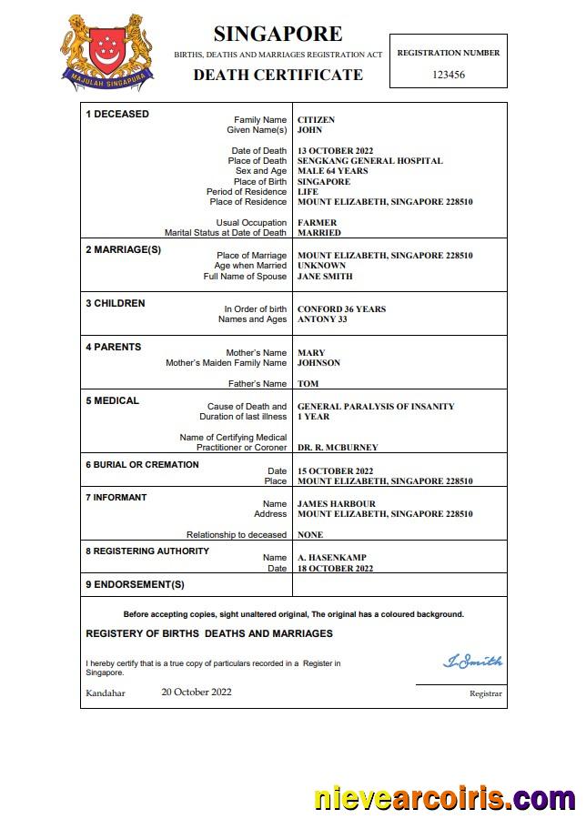 Editable Singapore Vital Record Death Certificate Word And PDF Template