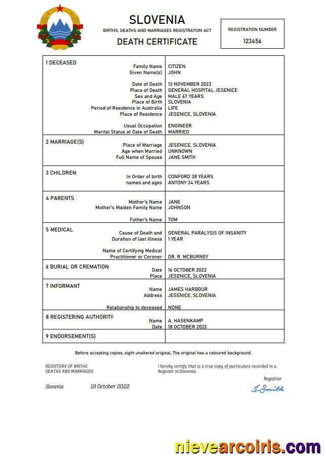 Premium Slovenia Vital Record Death Certificate Word And PDF Template